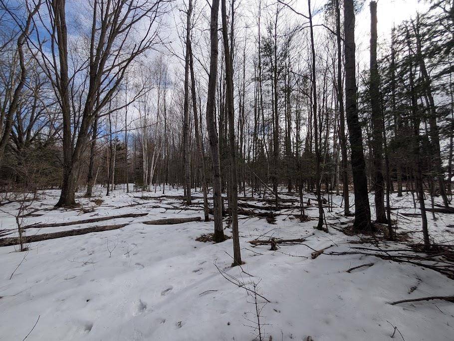 2370 S Coville RD, Greenbush Twp, MI 48745