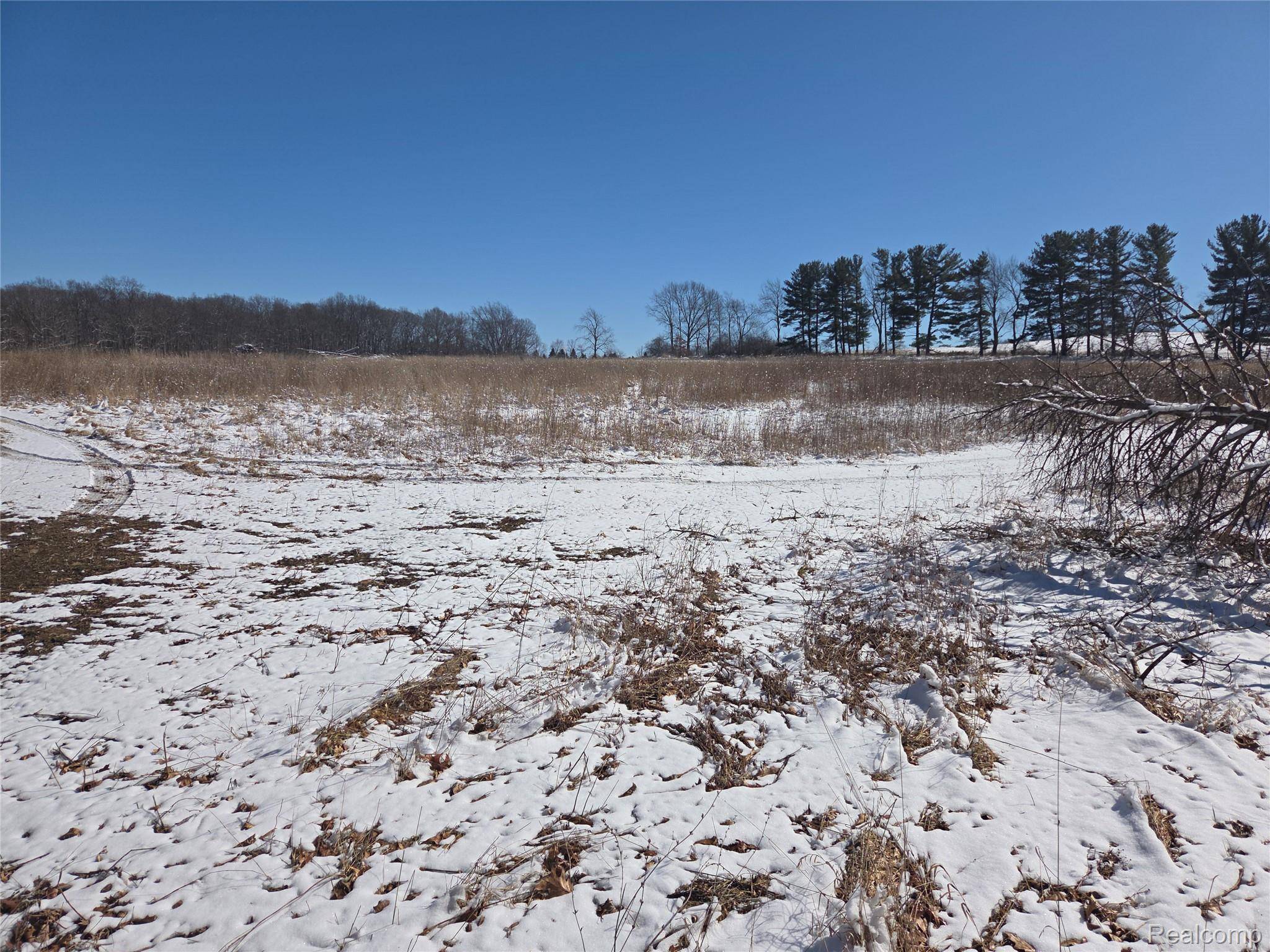 parcel 3 mack rd RD, Oceola Township, MI 48855