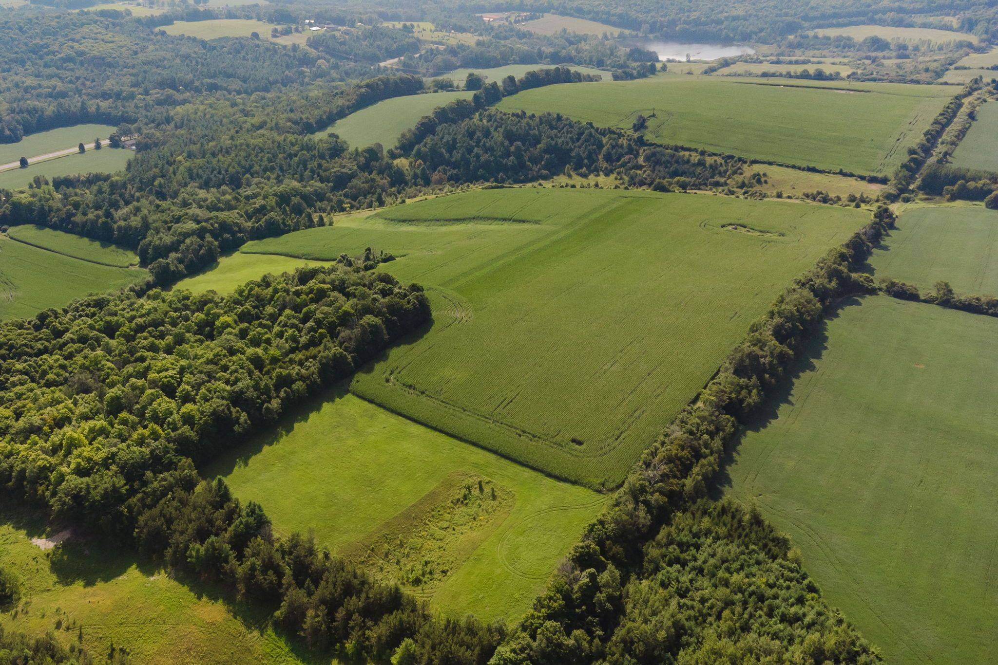 1478 County 23 RD, Alnwick/haldimand, ON K0K 2G0