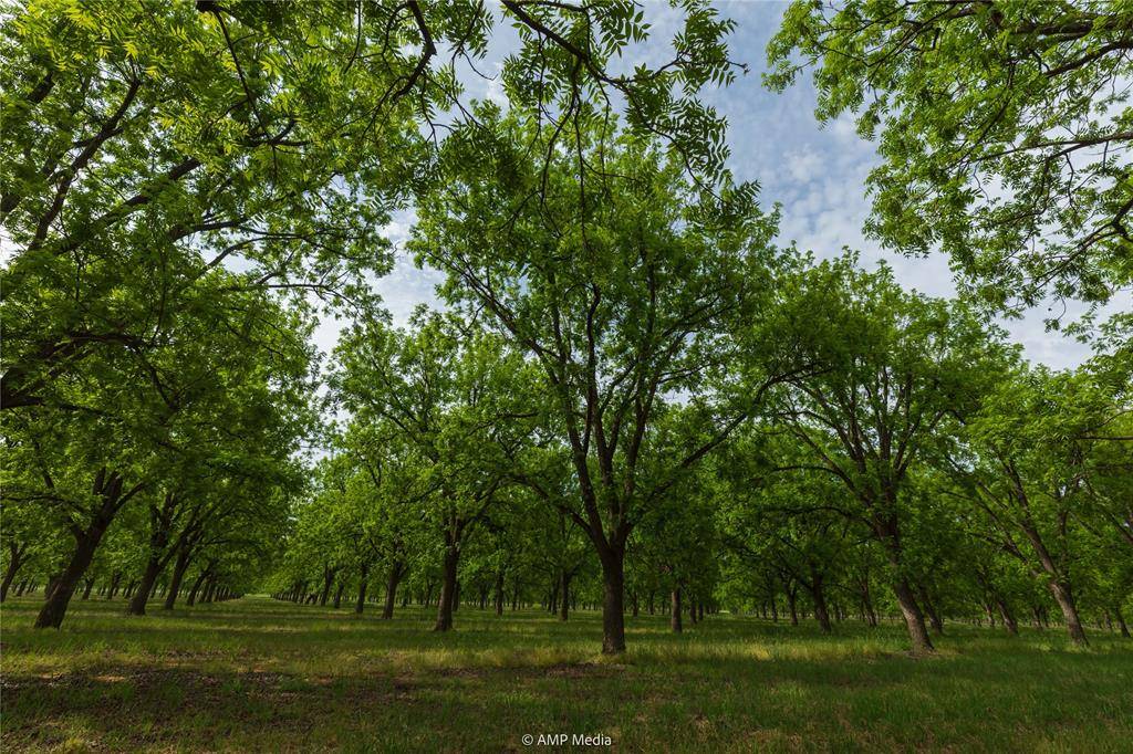 141 Pecan Bayou Lane, Brownwood, TX 76801