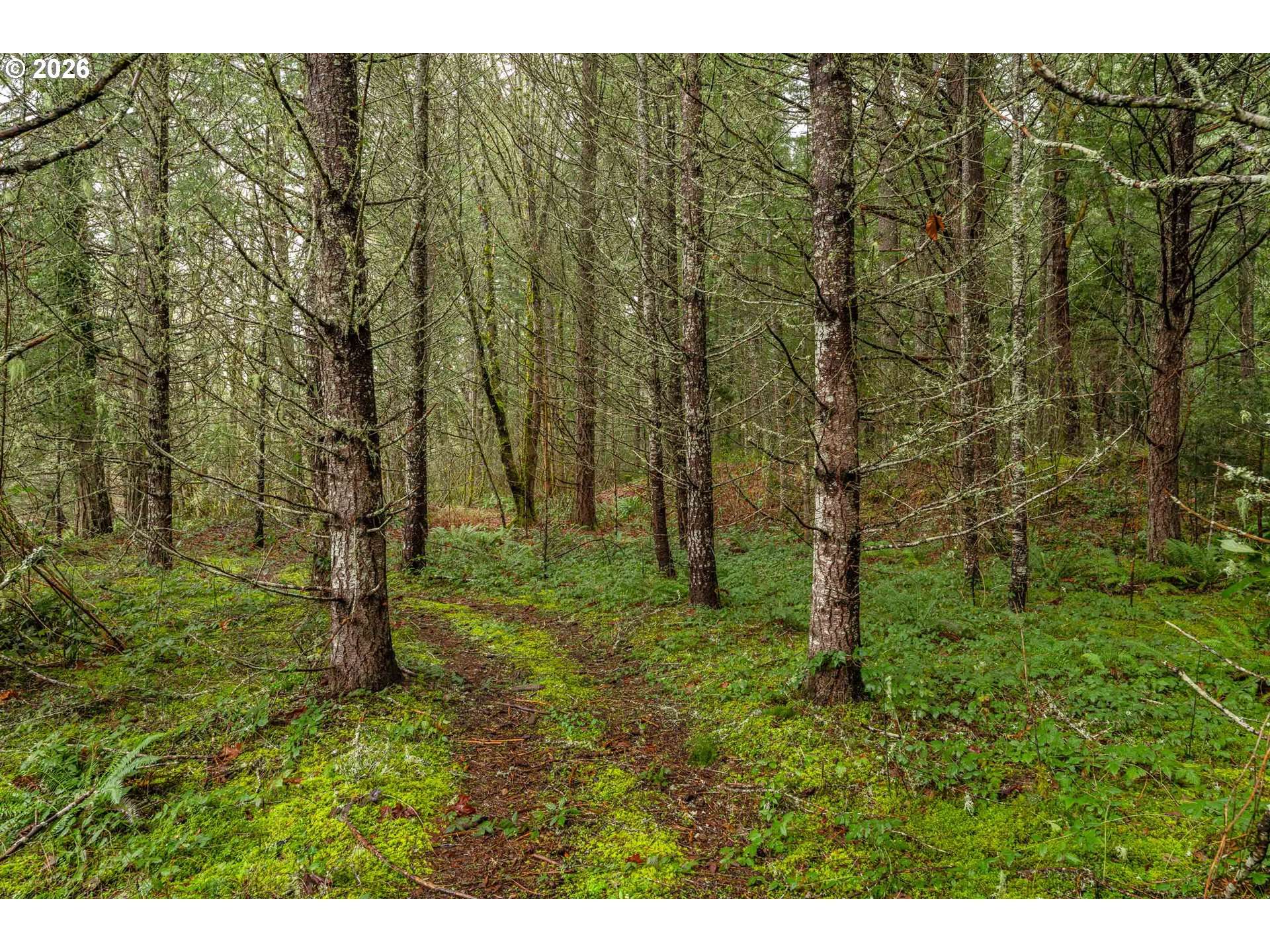 UPPER COW CREEK RD, Azalea, OR 97410