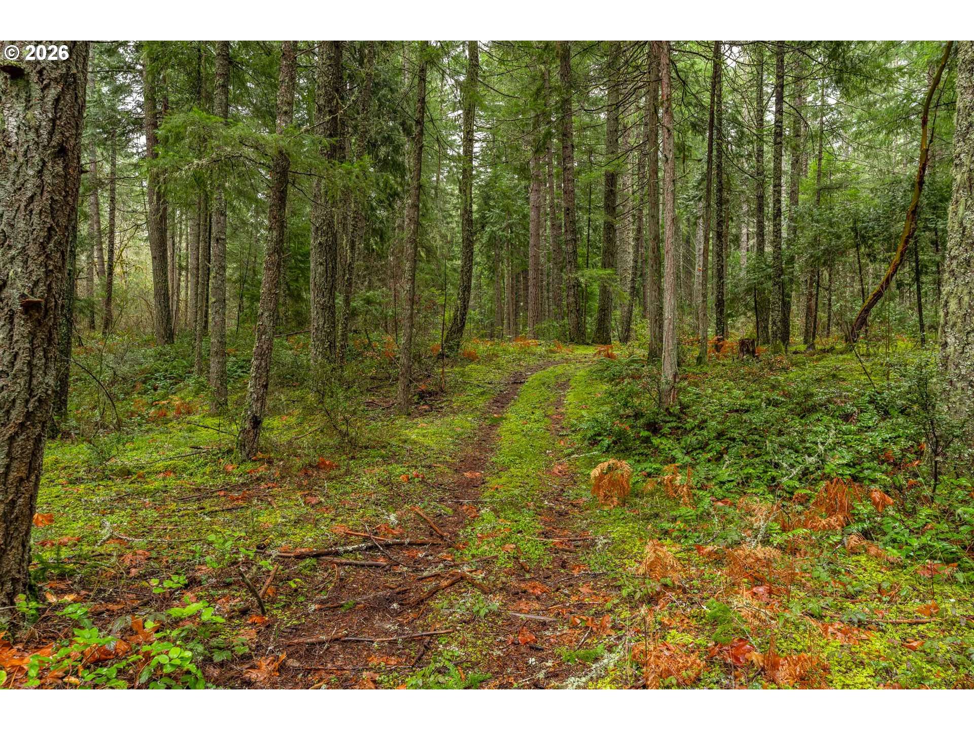 UPPER COW CREEK RD, Azalea, OR 97410