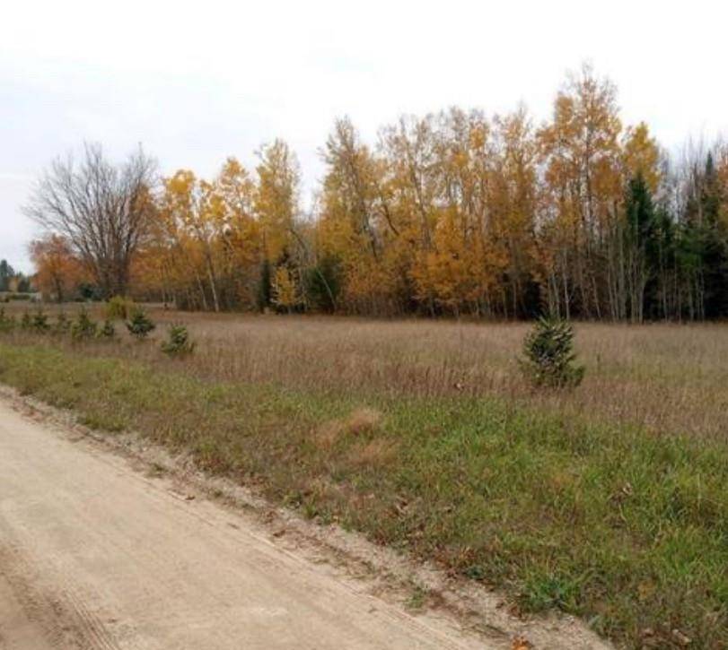 000 Bennett RD, Acme Twp, MI 49690