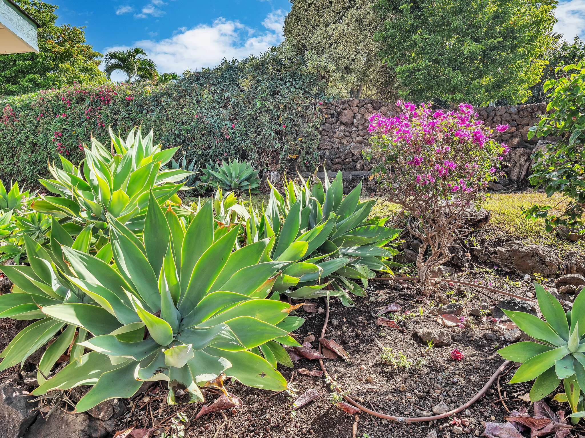68-1881 EHA KO PL, Waikoloa, HI 96738