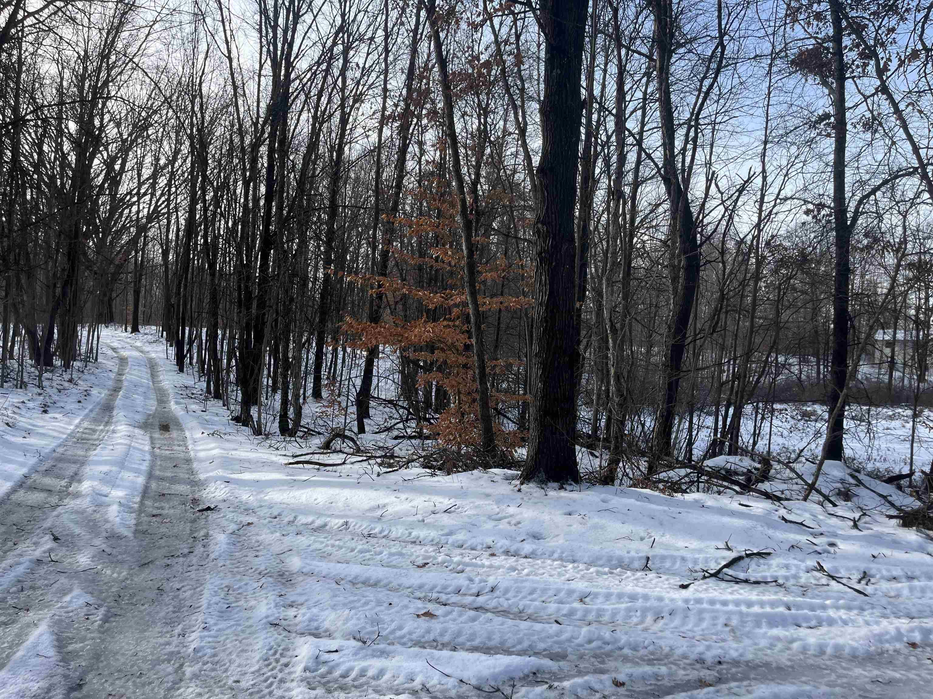 7907 W Weidman RD, Sherman Twp, MI 48893