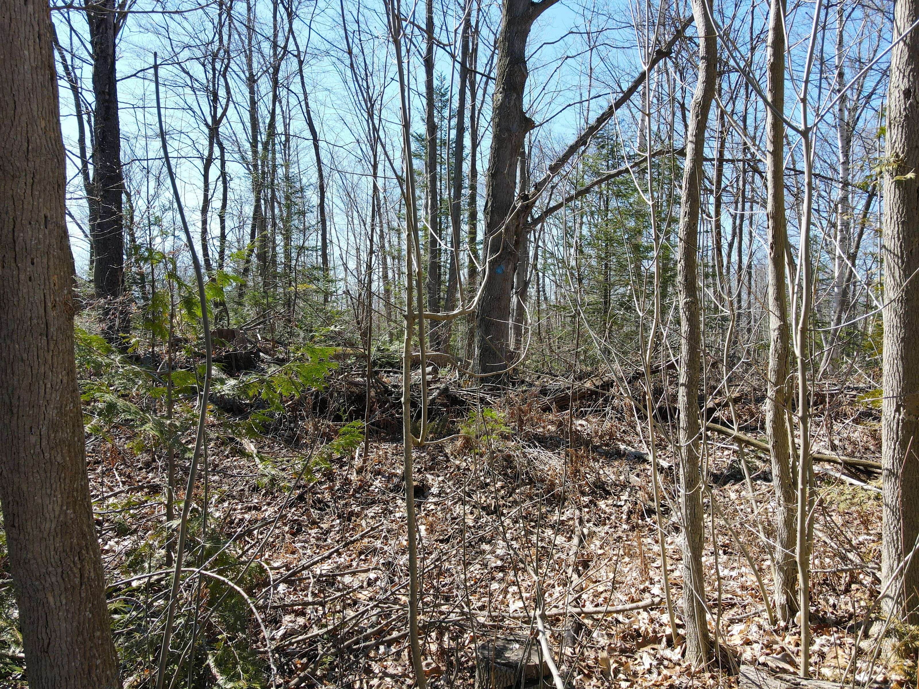 83 Silver Lake CRES, South Bruce Peninsula, ON N0H 2G0