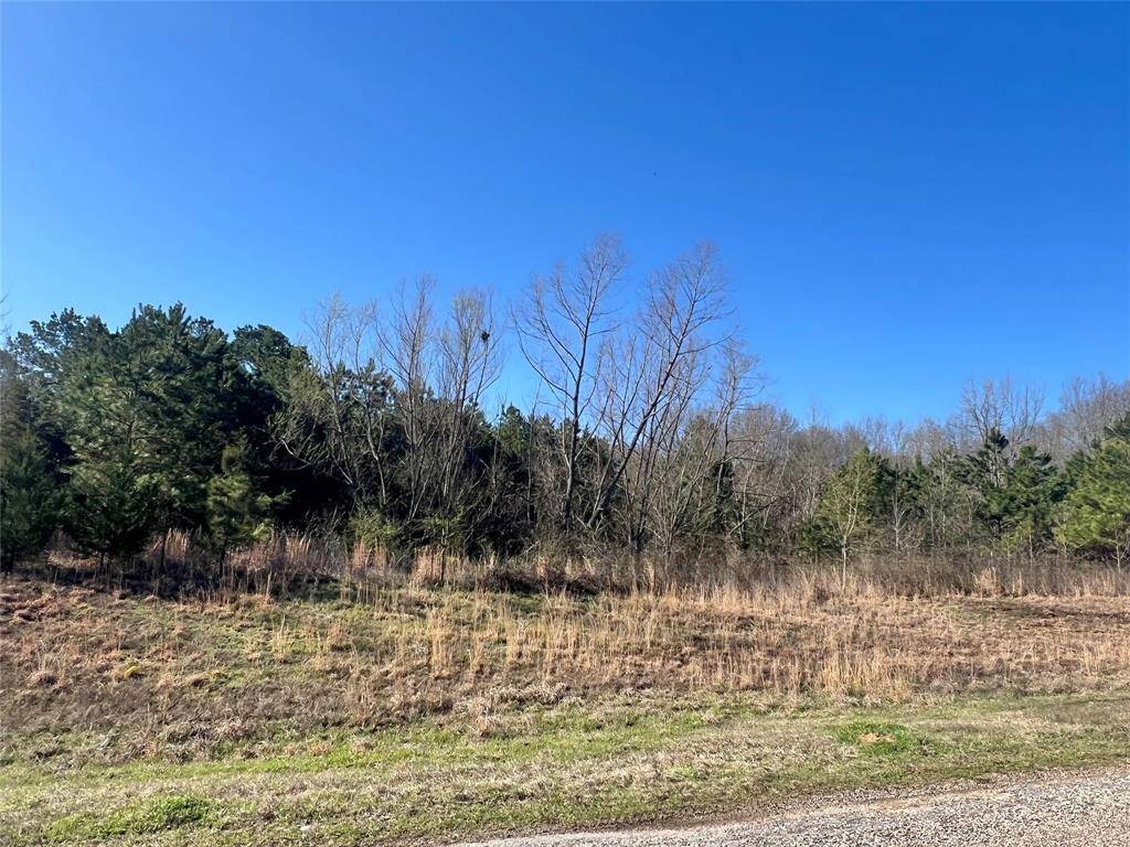 TBD CR 1400, Mount Pleasant, TX 75455