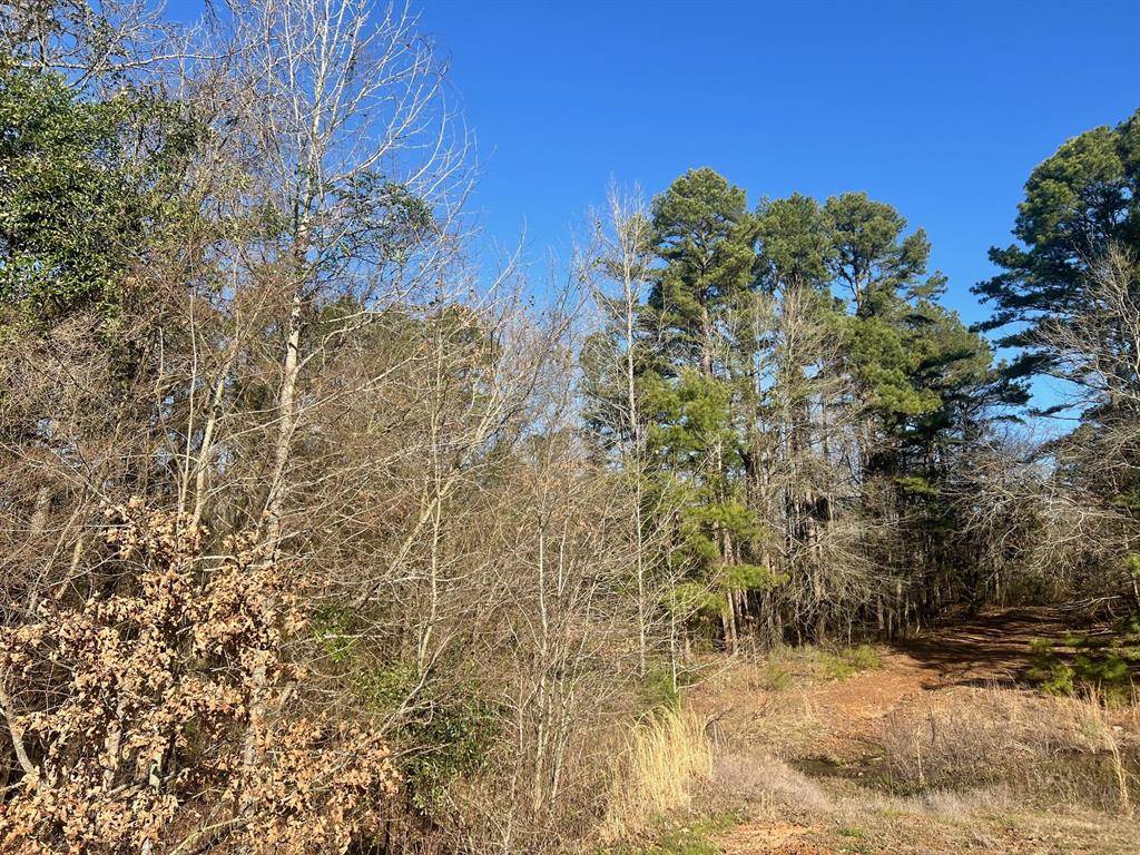 TBD CR 1670, Mount Pleasant, TX 75455