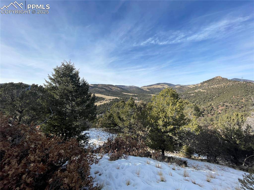 752 County Road 16, Cotopaxi, CO 81223