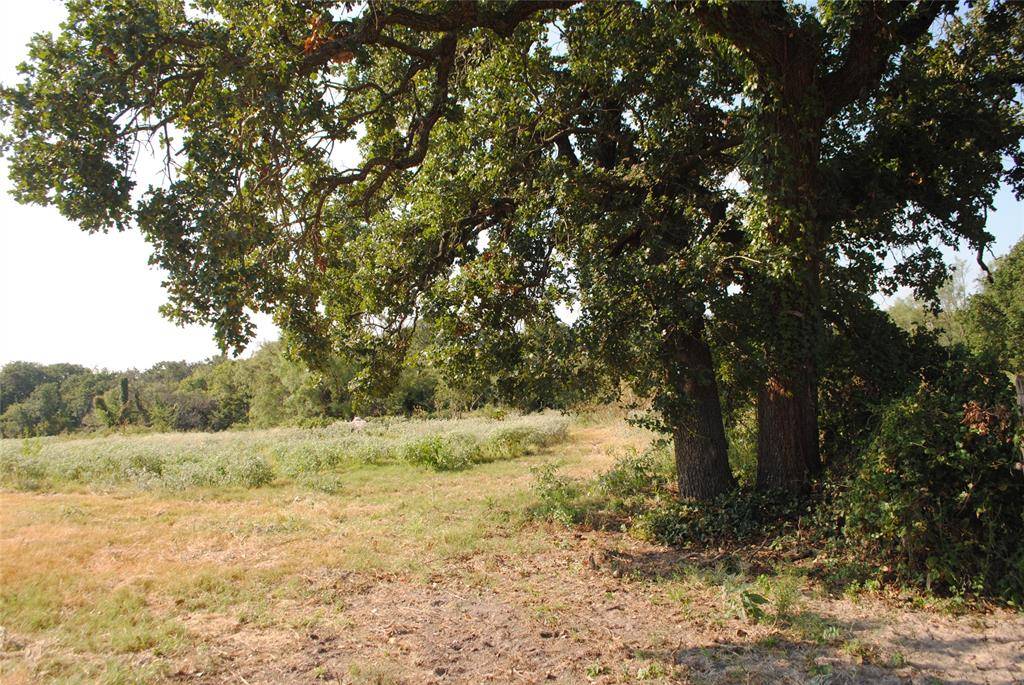 TBD CR 131, Comanche, TX 76857