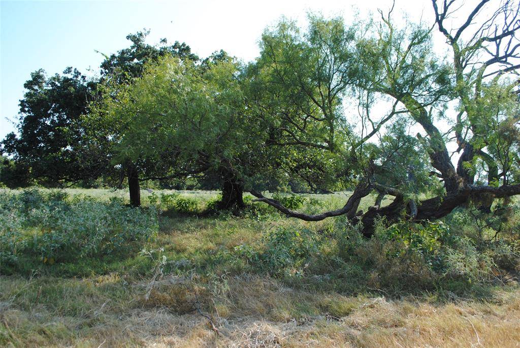 TBD CR 131, Comanche, TX 76857