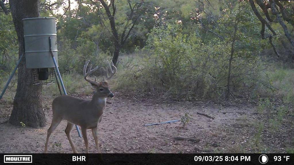 TBD CR 131, Comanche, TX 76857
