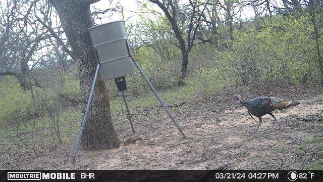 TBD CR 131, Comanche, TX 76857