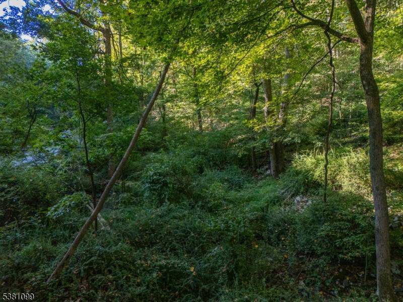 00 Sweet Hollow Road, Holland Twp., NJ 08848