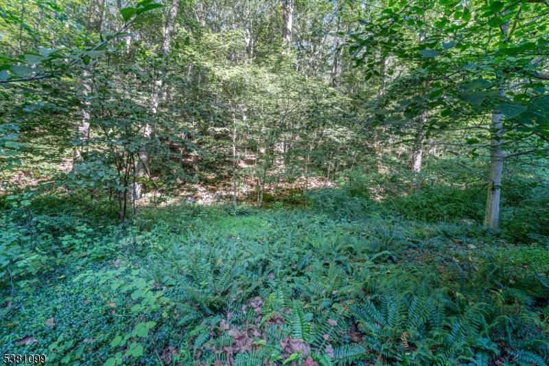 00 Sweet Hollow Road, Holland Twp., NJ 08848