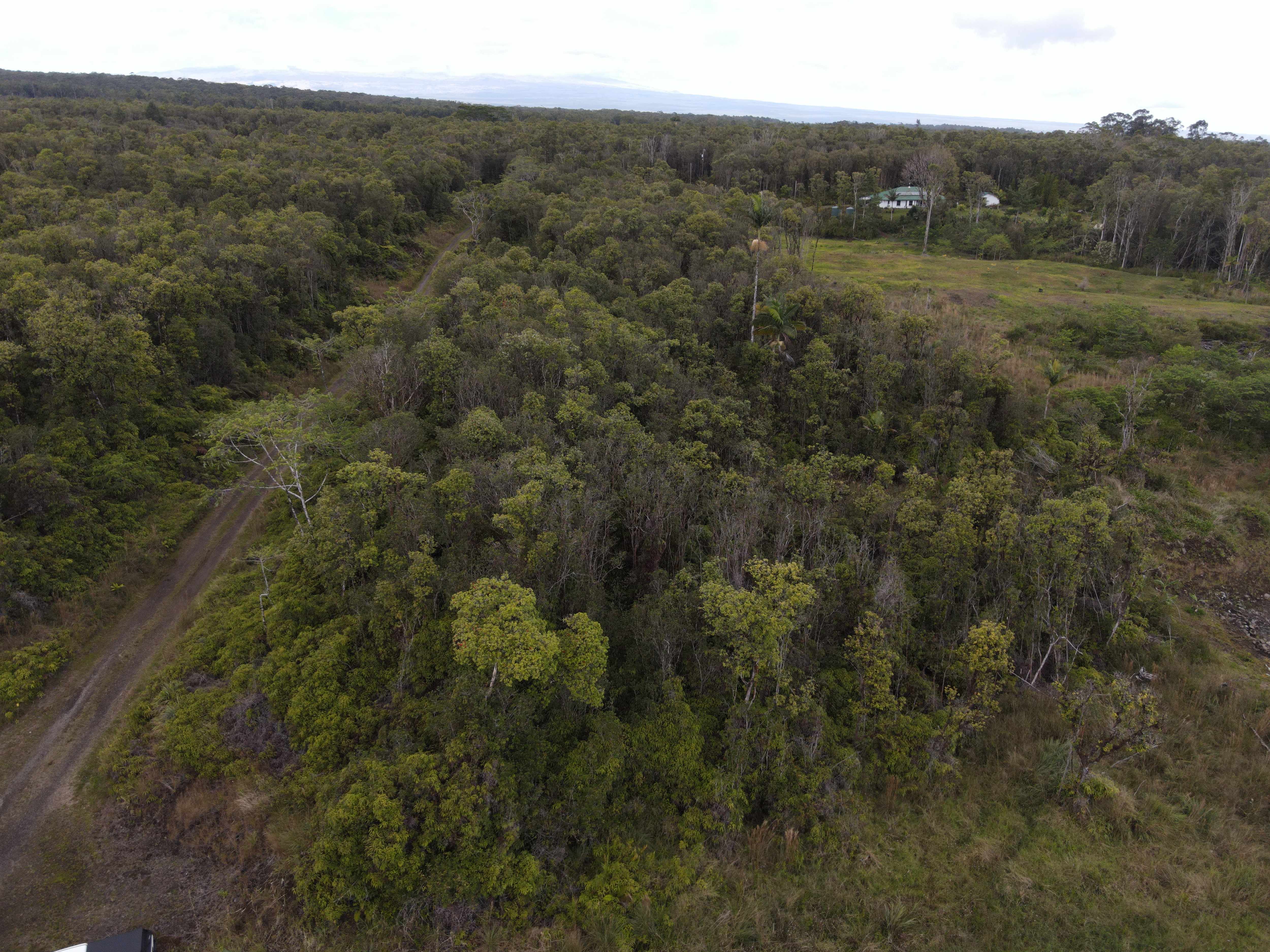 IHOPE RD, Mountain View, HI 96771