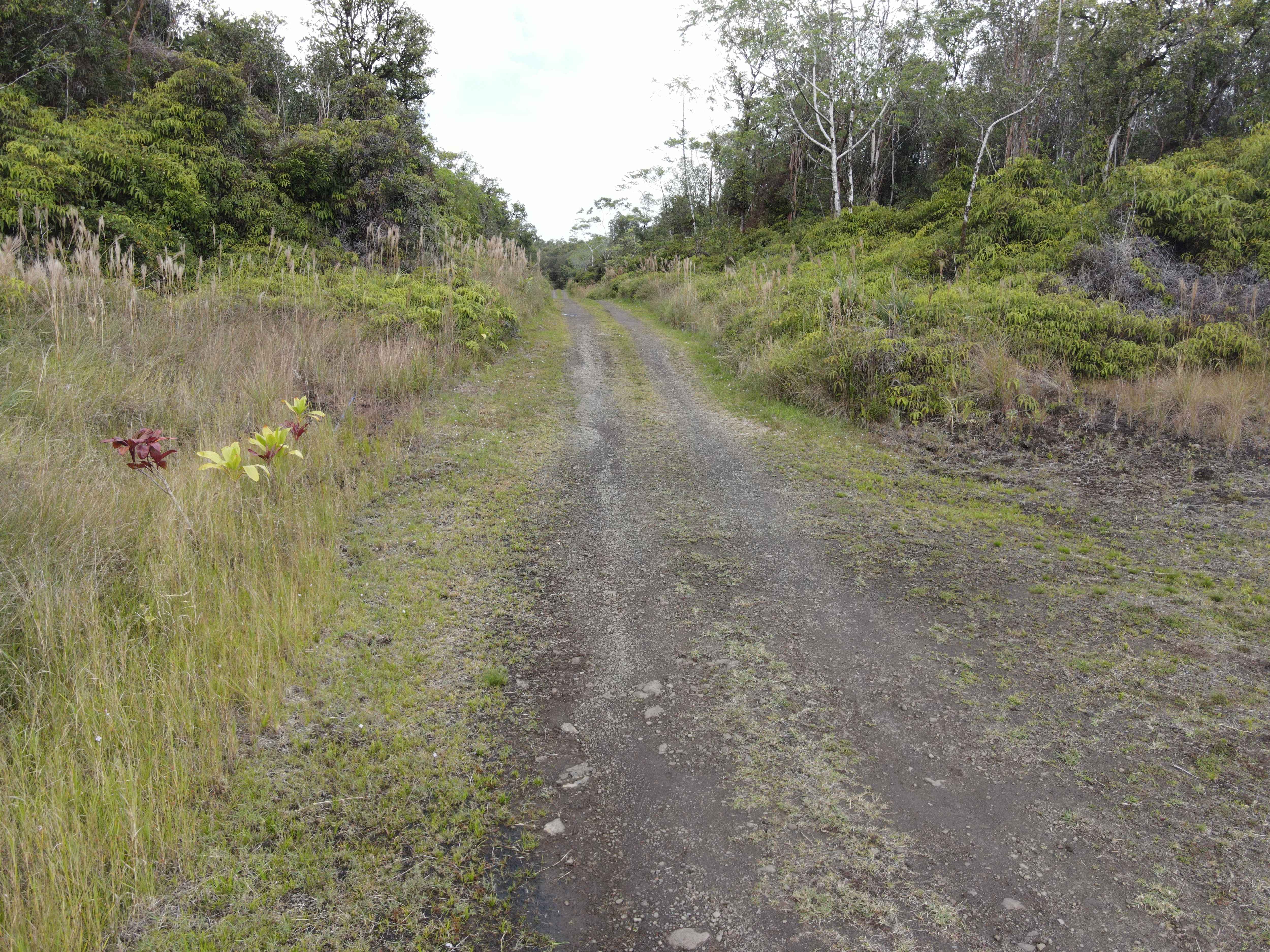 IHOPE RD, Mountain View, HI 96771