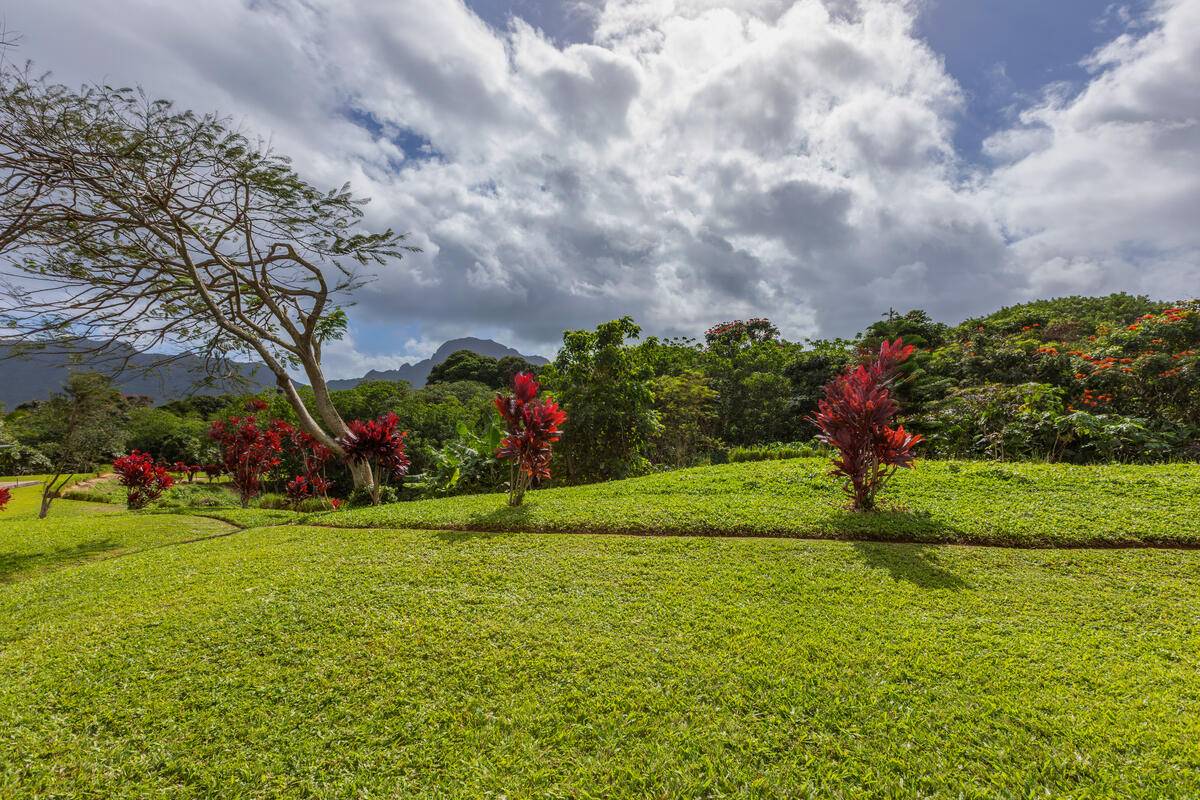 2110 KANEKA ST #58, Lihue, HI 96766