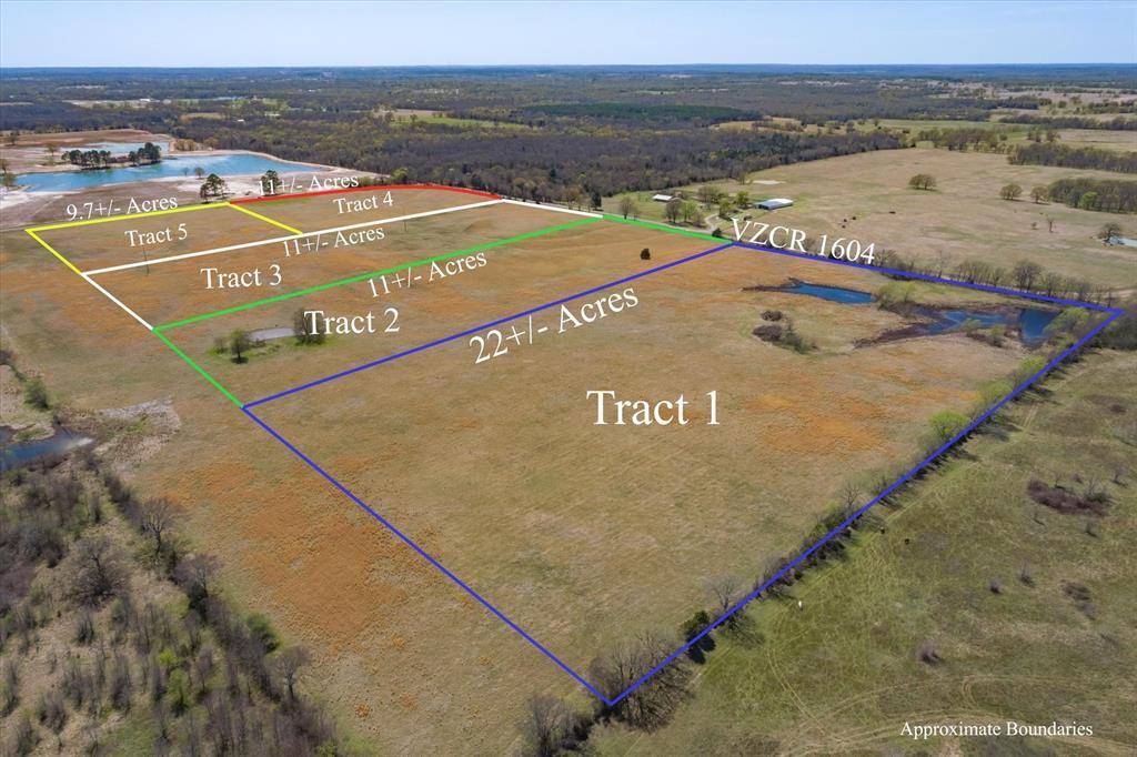 Tract 1 CR 1604, Grand Saline, TX 75140