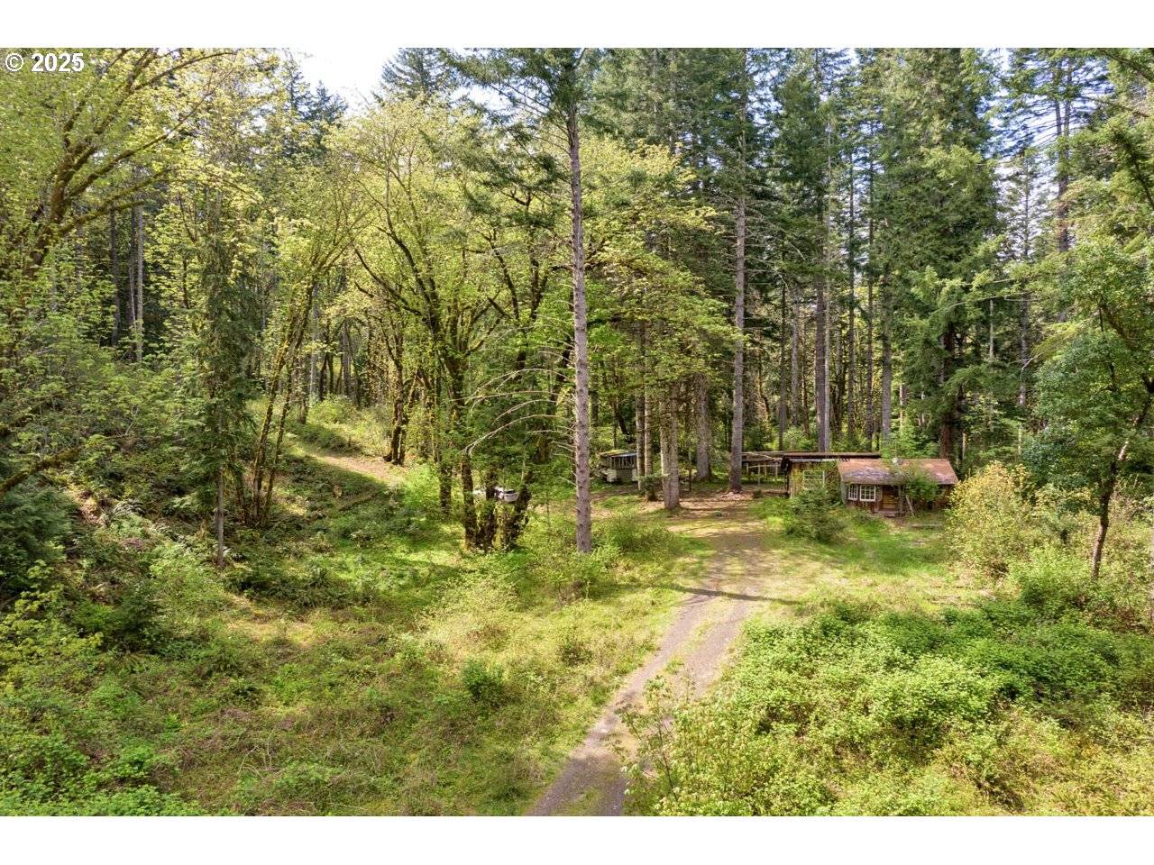 38220 BOSCAGE LN, Springfield, OR 97477