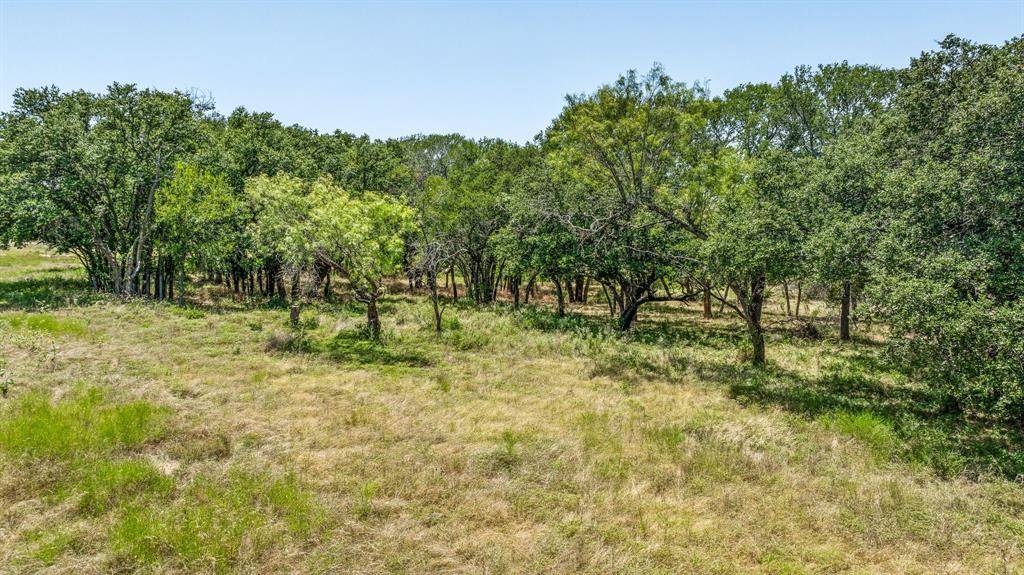 TBD PR 1272, Carlton, TX 76436