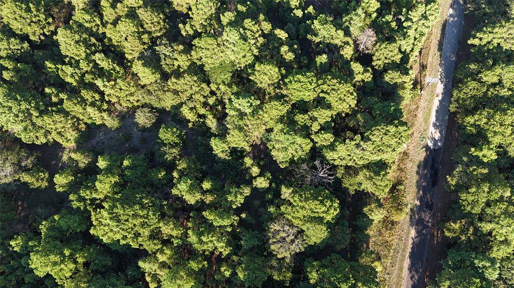 TBD County Road 3847, Hawkins, TX 75765