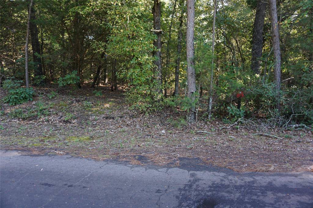 TBD County Road 3847, Hawkins, TX 75765