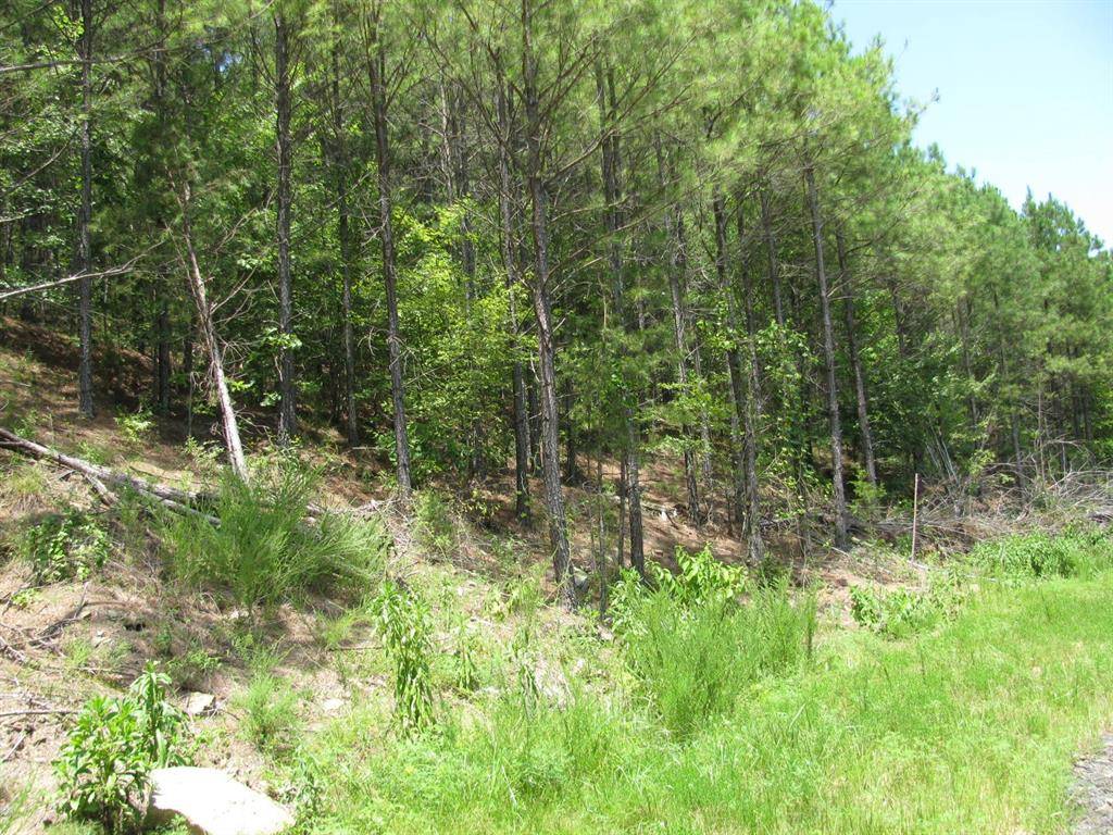 TBD JOSEE'S JOURNEY, Nashoba, OK 74558