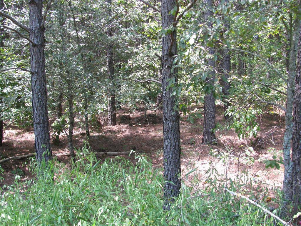 TBD JOSEE'S JOURNEY, Nashoba, OK 74558