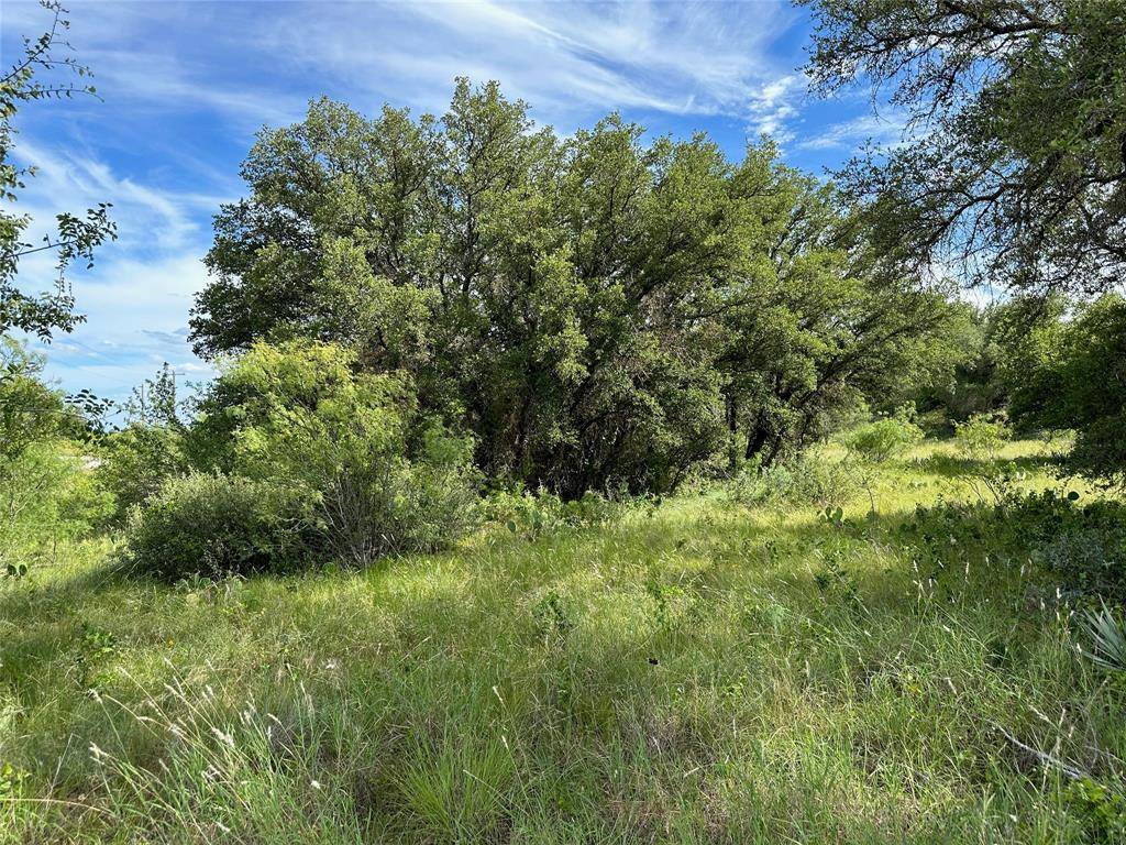 863 Pitchpole Circle, Brownwood, TX 76801