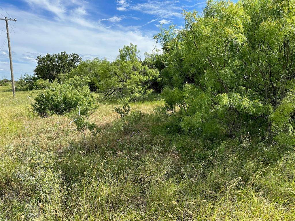 863 Pitchpole Circle, Brownwood, TX 76801