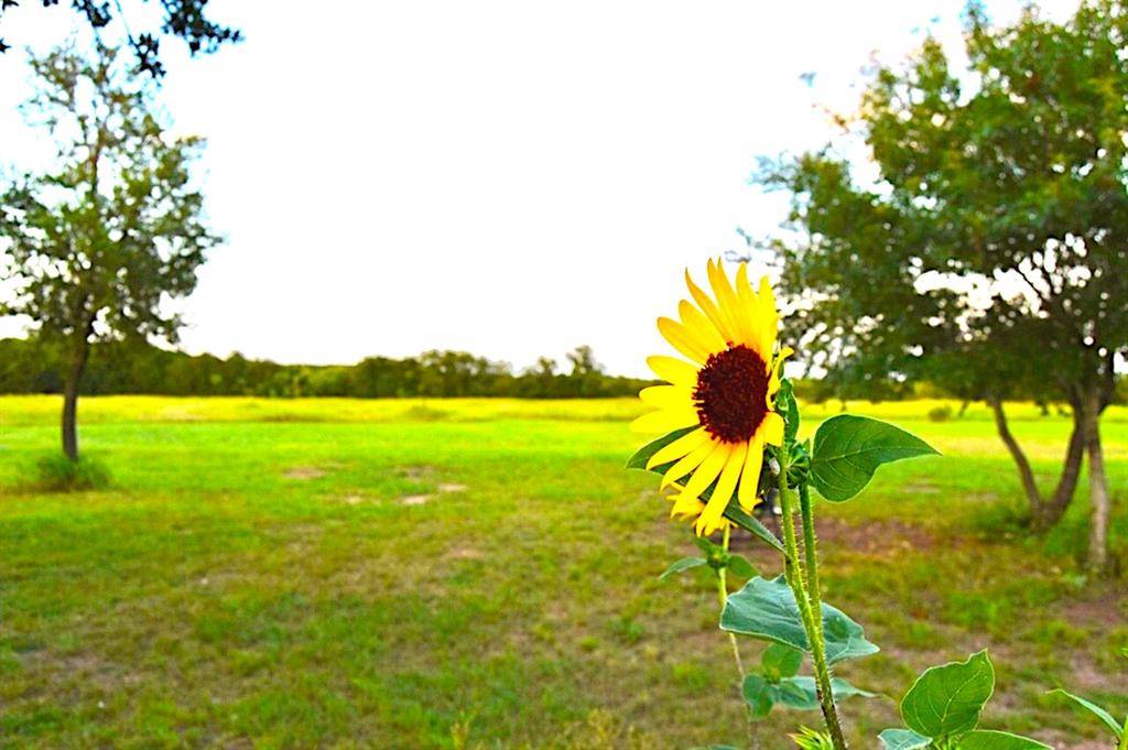 1500 County Road 2850, Kopperl, TX 76652