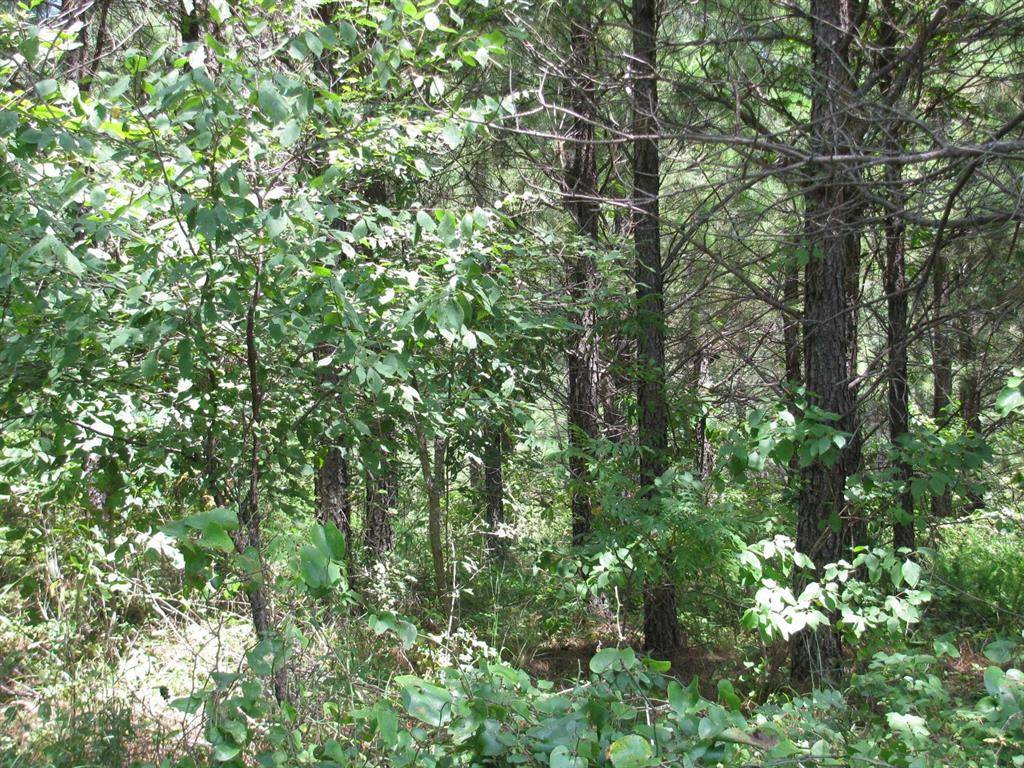 TBD Jace's Trail, Nashoba, OK 74558