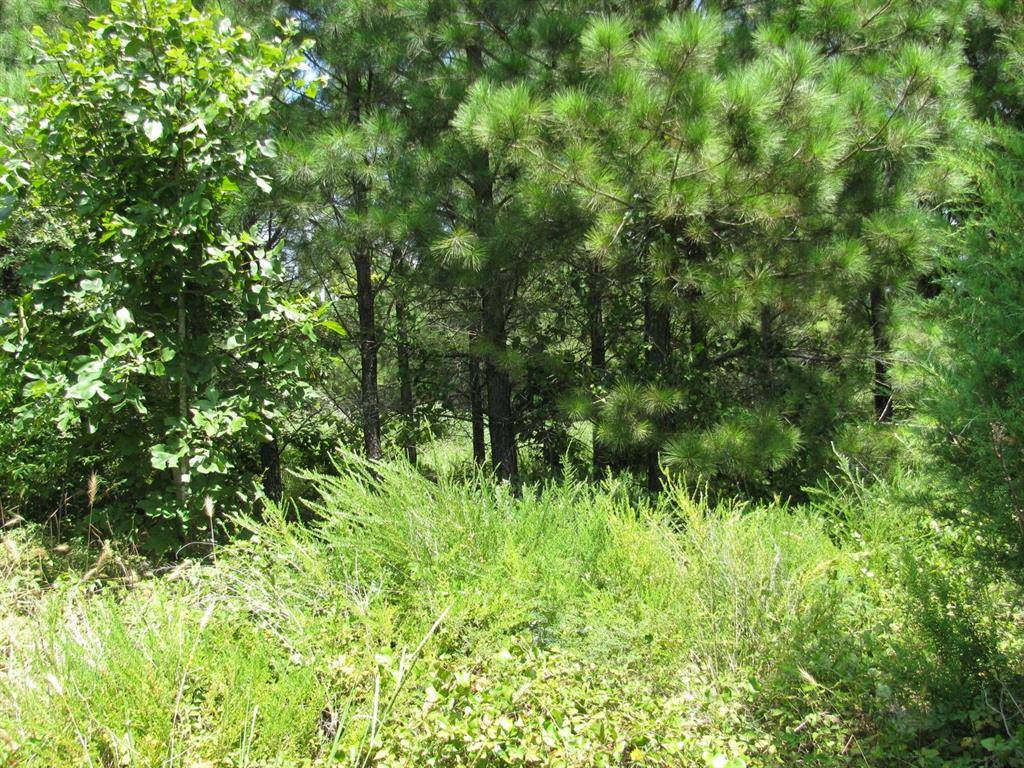 TBD Jace's Trail, Nashoba, OK 74558