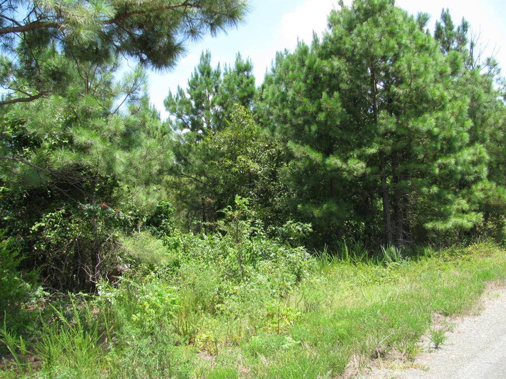 TBD Jace's Trail, Nashoba, OK 74558