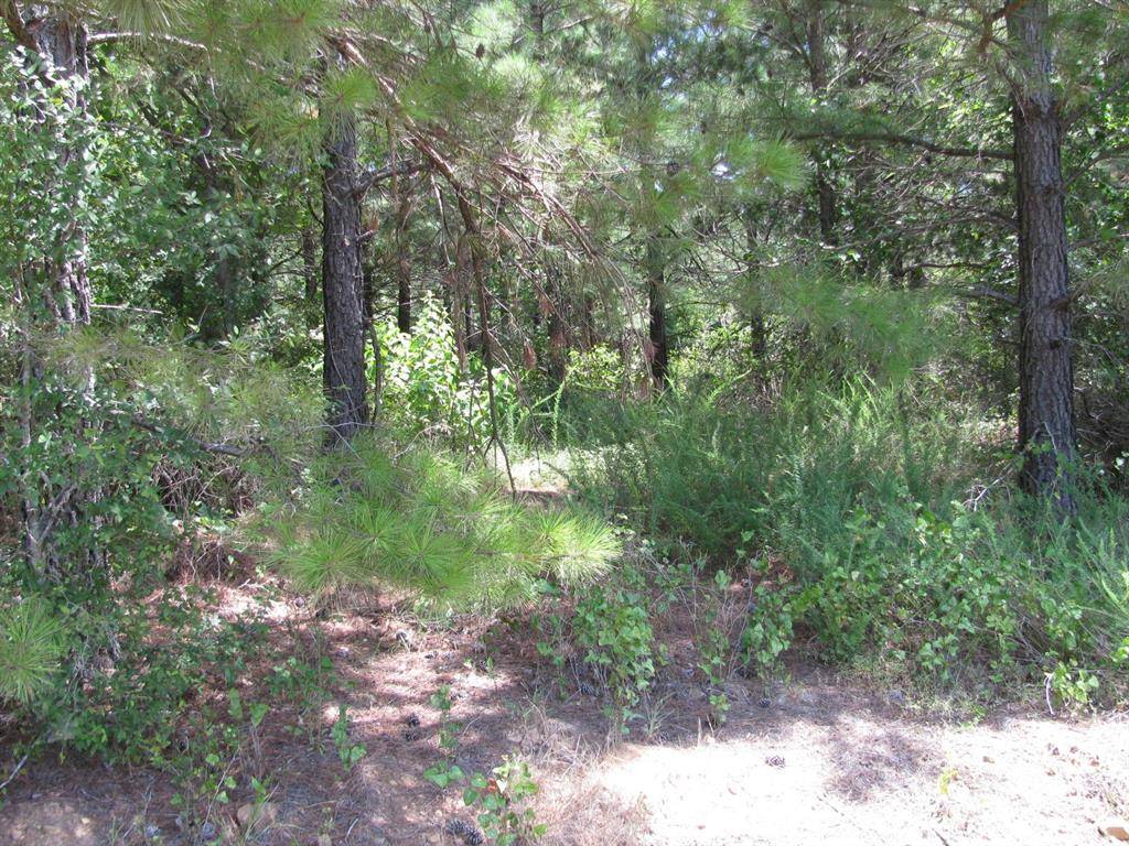 TBD Jace's Trail, Nashoba, OK 74558