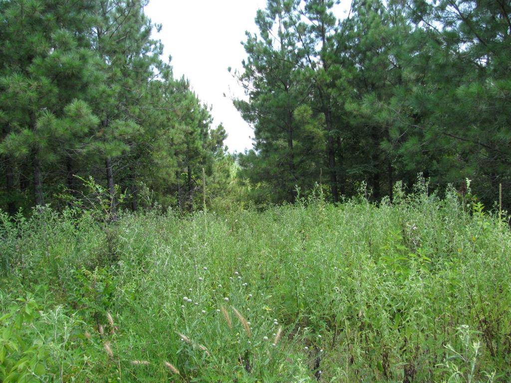 TBD Jace's Trail, Nashoba, OK 74558