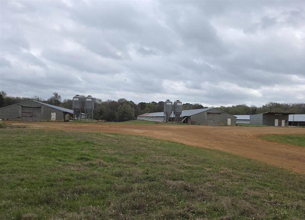 1886 Opossum Rd, Pittsburg, TX 75686
