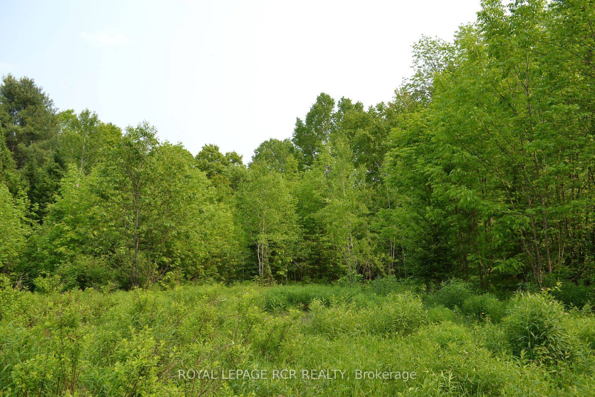 1527 Madill RD, Highlands East, ON K0M 1R0