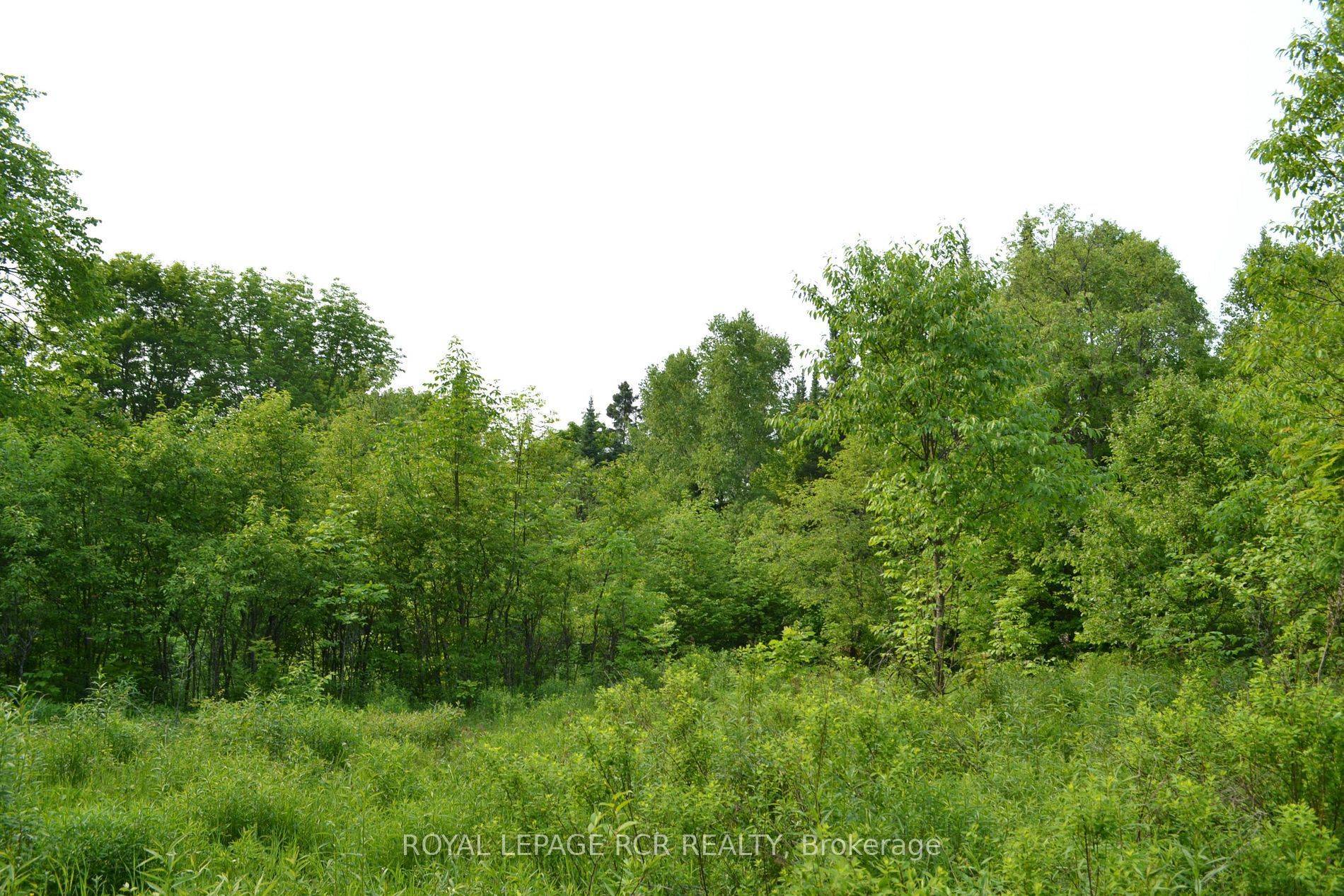 1527 Madill RD, Highlands East, ON K0M 1R0