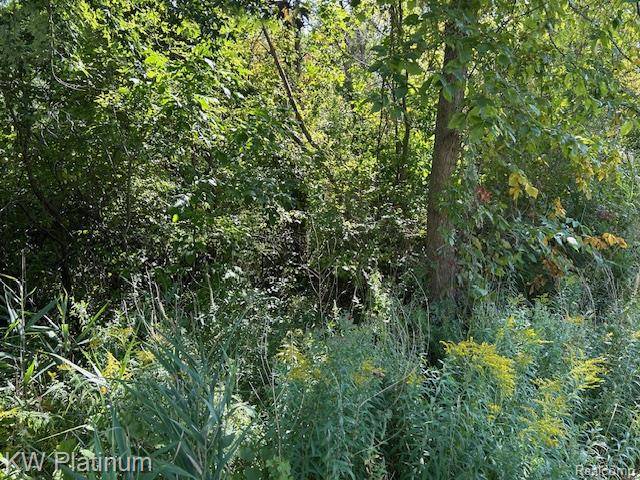 V/L Allen Rd., Kimball Township, MI 48074