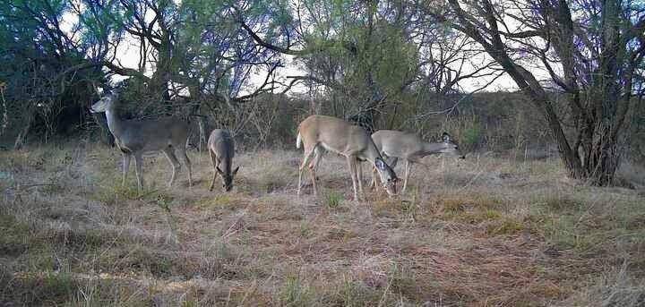 2055 County Road 472, Rochelle, TX 76872