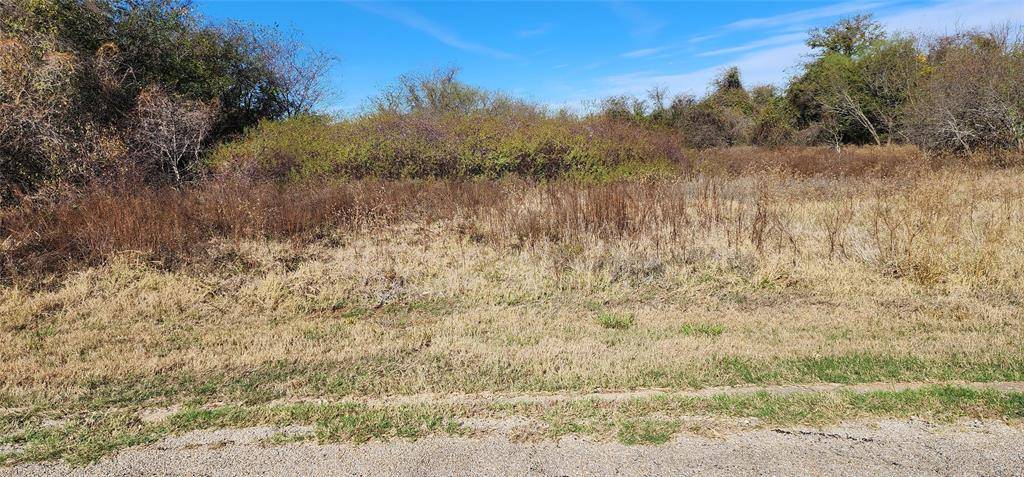 Address not disclosed, Whitney, TX 76692