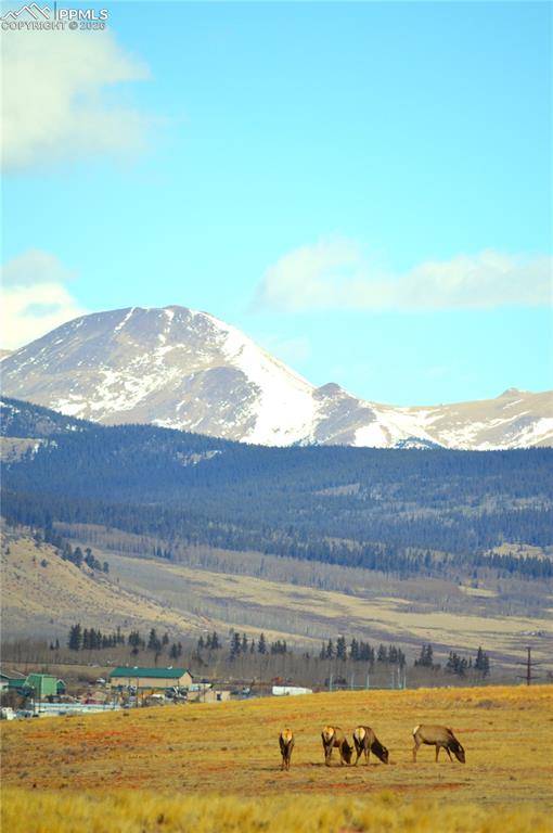 20400 Highway 285, Fairplay, CO 80440