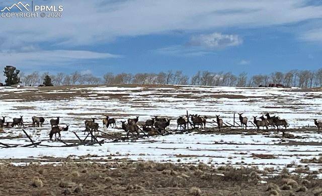 20400 Highway 285, Fairplay, CO 80440