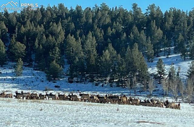 20400 Highway 285, Fairplay, CO 80440