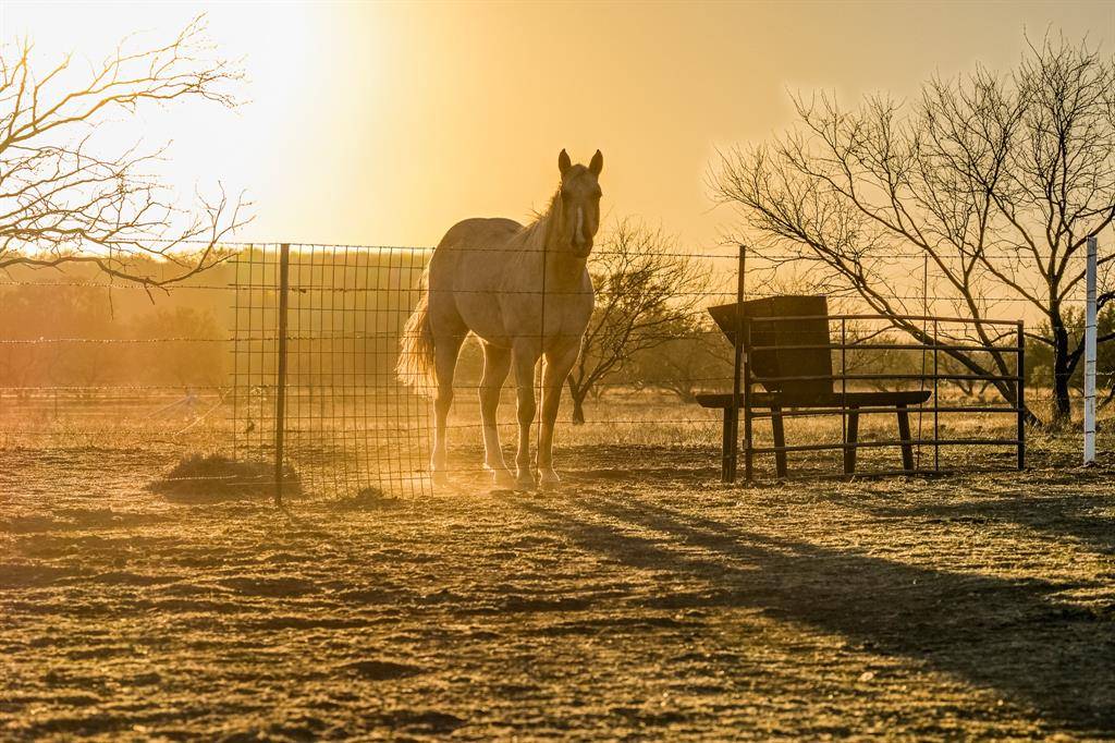 2387 Farm to Market 503, Coleman, TX 76834