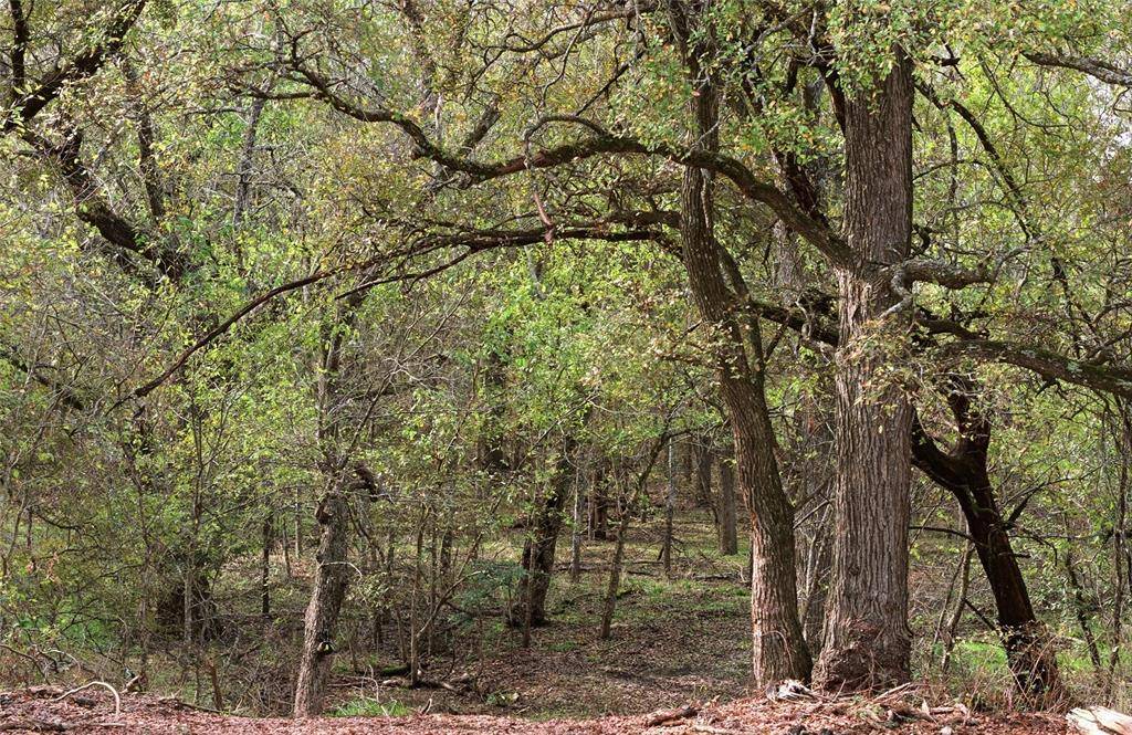 Tract 7, TBD County Road 3204, Abbott, TX 76621