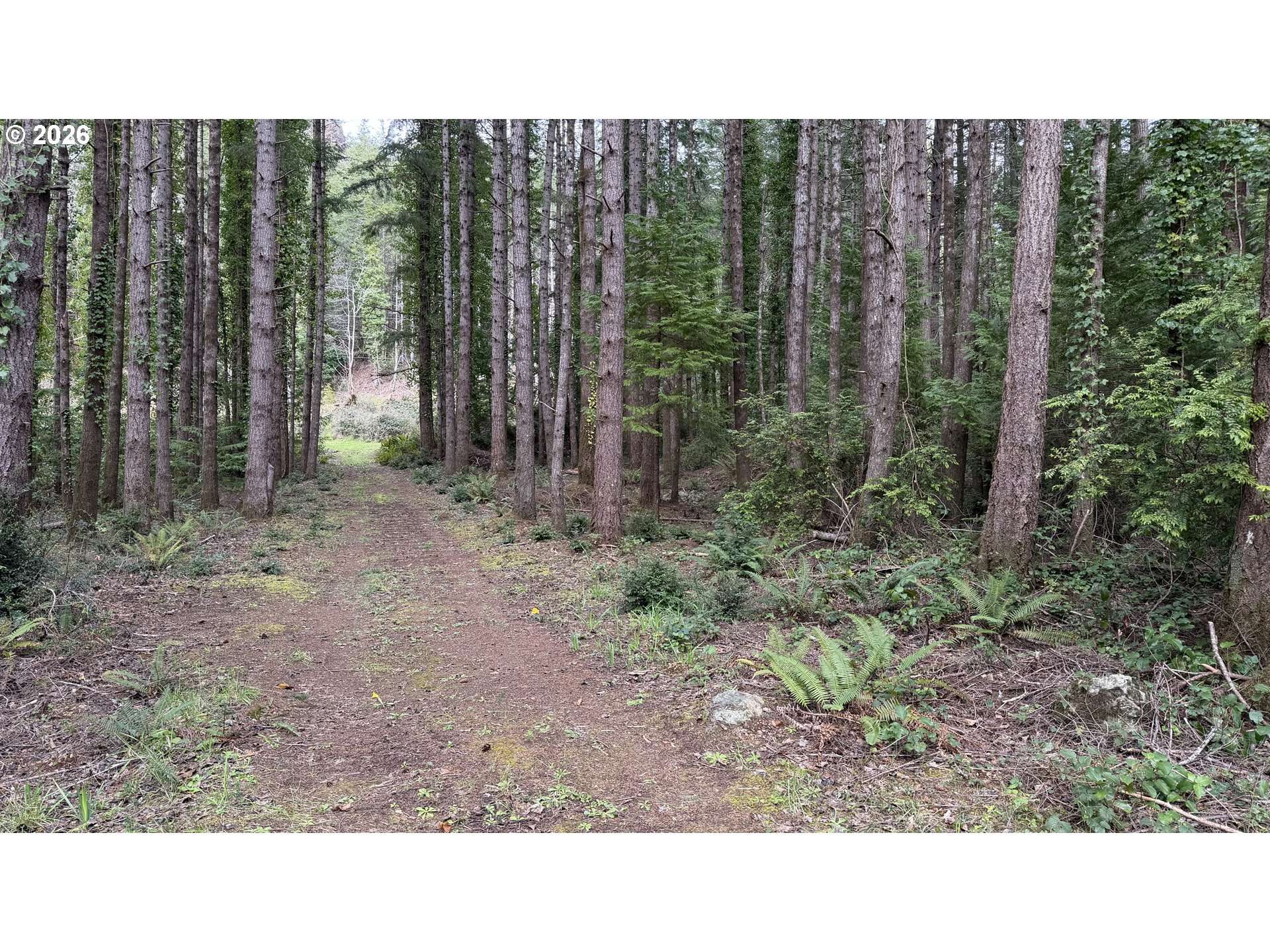 Orchard RD #2, Port Orford, OR 97465