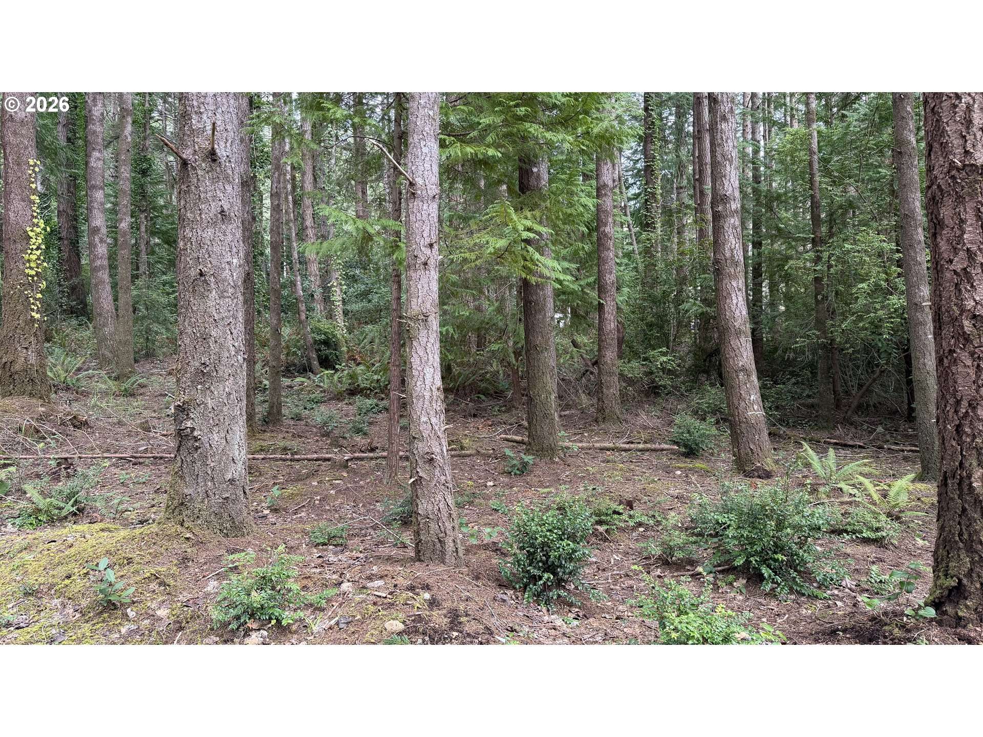 Orchard RD #2, Port Orford, OR 97465
